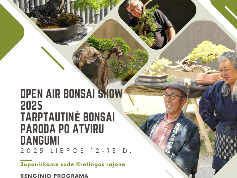 Bonsai paroda 2025