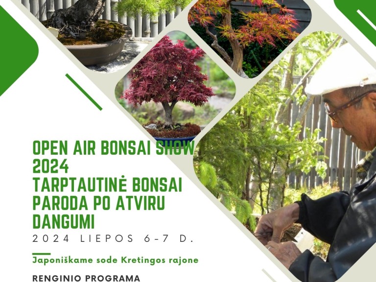 Bonsai paroda 2024